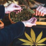 High Times, High Sales: Discover the Best Cannabis POS System in USA