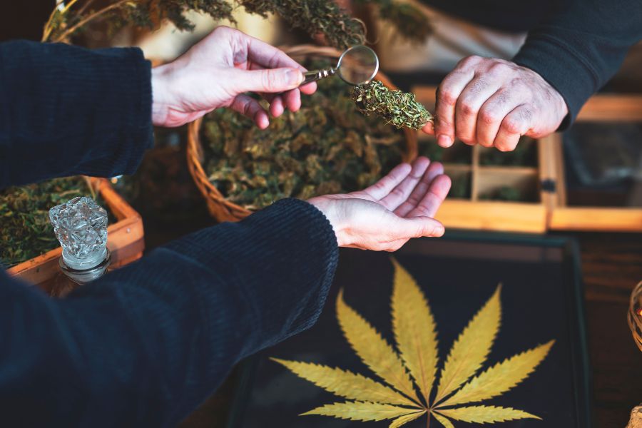 High Times, High Sales: Discover the Best Cannabis POS System in USA