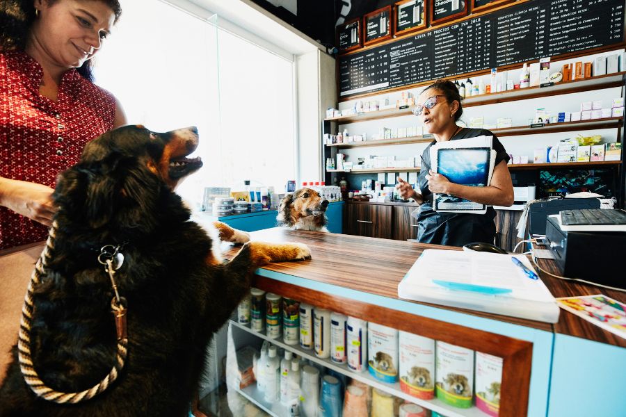 Overcome the rat race to open a successful pet shop