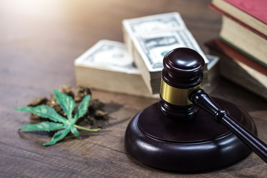 Cannabis laws: How it can be consumed and what medical conditions it can be used for