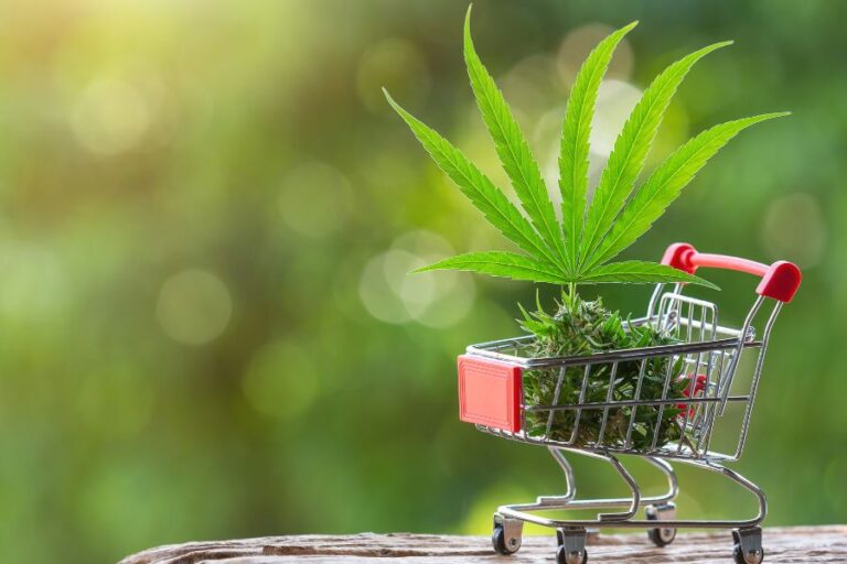 best cannabis pos systems