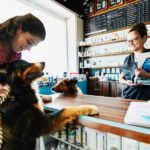 pos for pet store