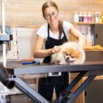 pos system for dog grooming
