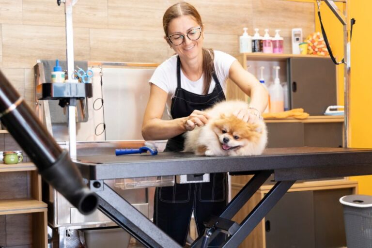 pos system for dog grooming