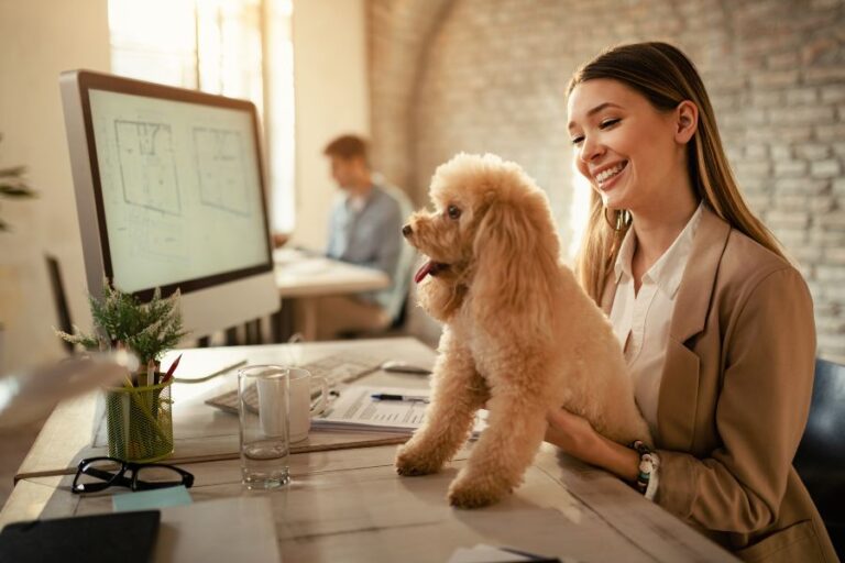 dog grooming pos system