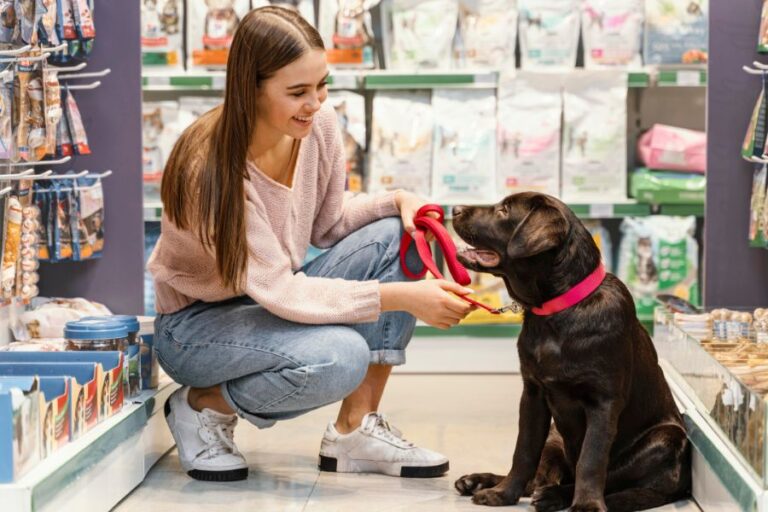 Pet Shop POS System
