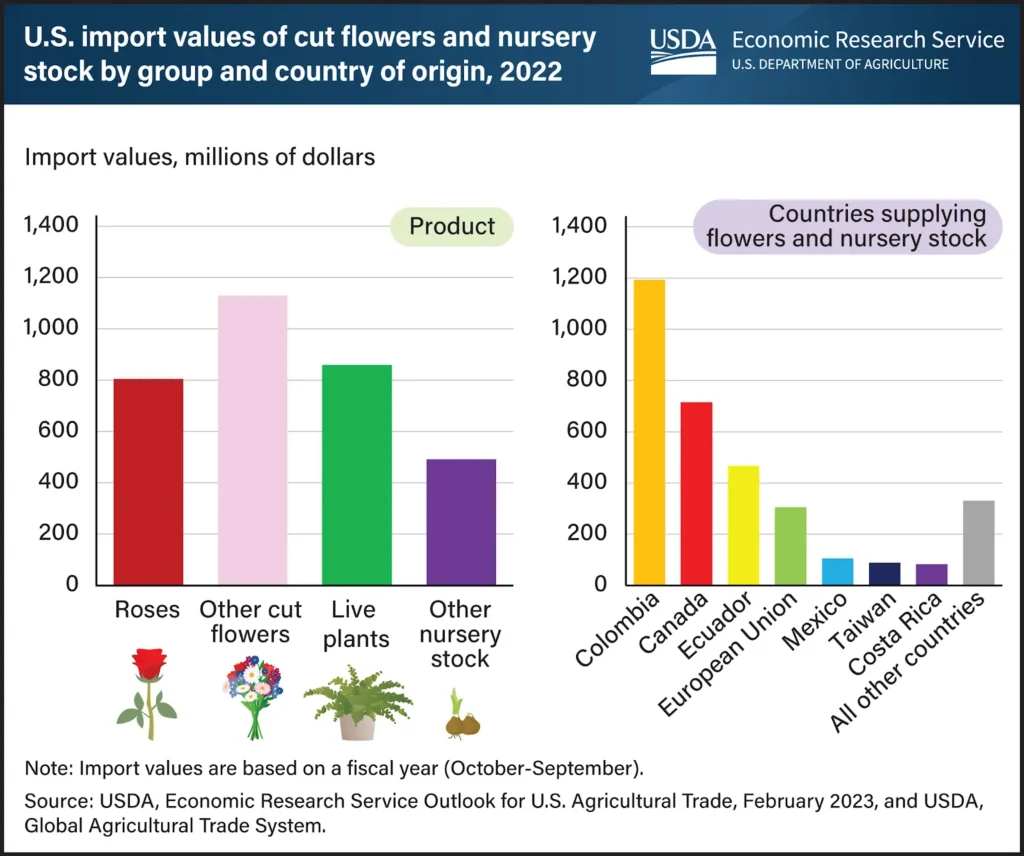 US import values of cut flowers